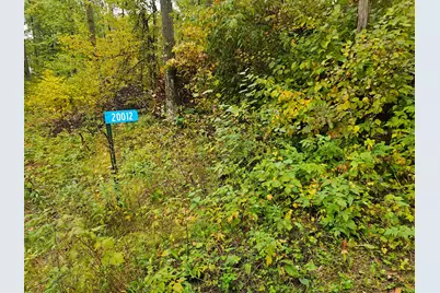 20012 Nature Trail, Ironton, MN 56455 - Photo 6