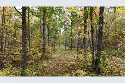 62427 Lower Tamarack Road, Bruno, MN 55712 - Photo 42