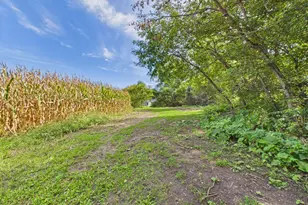 1255 40th St SE, Murdock, MN 56271 - Photo 48