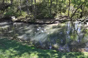 30874 Hwy 76, Houston, MN 55943 - Photo 90