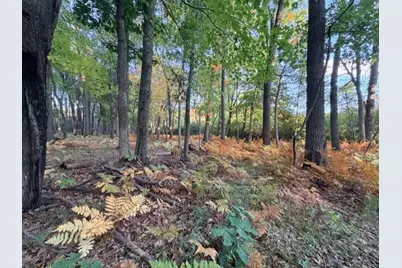 Xxxx 217th Avenue NE, Linwood Township, MN 55005 - Photo 20