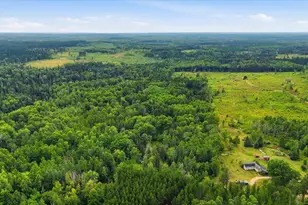 7961 Carpenter Rd, Angora, MN 55703 - Photo 10