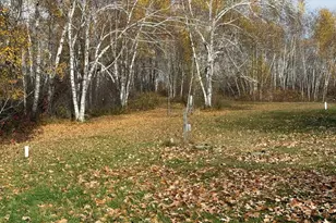 50133 Kelch Ln, Sandstone, MN 55072 - Photo 12