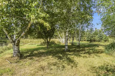 4423 Fawn Lake Drive NE, East Bethel, MN 55005 - Photo 46