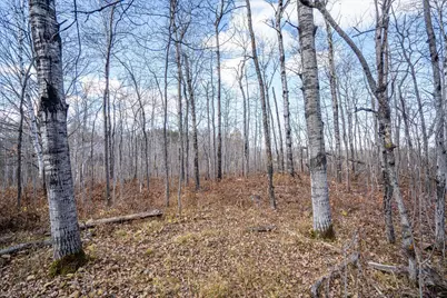 507X Maple Grove Road, Hermantown, MN 55811 - Photo 18