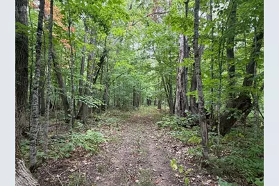61710 Lower Tamarack Road, Bruno, MN 55712 - Photo 34