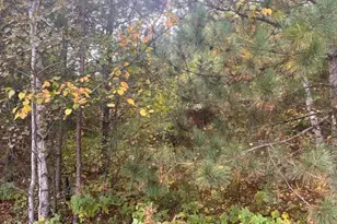 8924 Black Brook Rd, Webster, WI 54893 - Photo 46