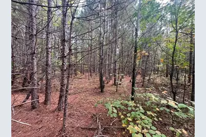 8924 Black Brook Road, Webster, WI 54893 - Photo 44