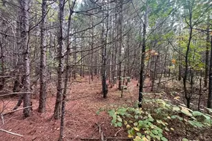 8924 Black Brook Rd, Webster, WI 54893 - Photo 44