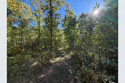 2764 320th Avenue, Brook Park, MN 55007 - Photo 46