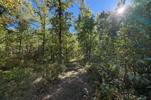 2764 320th Ave, Brook Park, MN 55007 - Photo 46