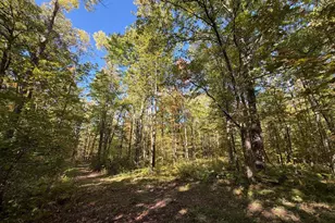 2764 320th Ave, Brook Park, MN 55007 - Photo 60