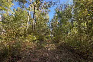 2764 320th Ave, Brook Park, MN 55007 - Photo 48