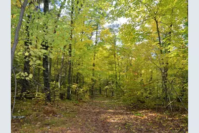 Tbd Juneberry Drive, Park Rapids, MN 56470 - Photo 14