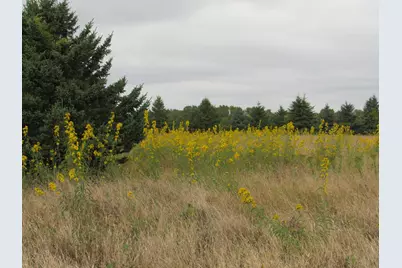 40929 95th Street, Blue Earth, MN 56013 - Photo 2