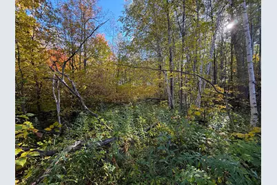 Xxx 540th Lane, Palisade, MN 56469 - Photo 22