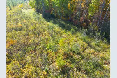 Xxx 540th Lane, Palisade, MN 56469 - Photo 54