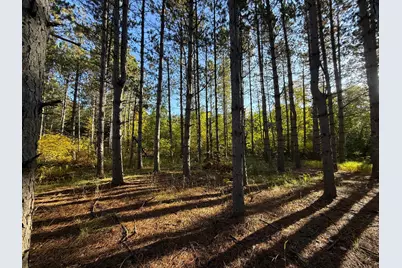 Xxx 540th Lane, Palisade, MN 56469 - Photo 2
