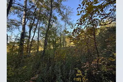 Xxx 540th Lane, Palisade, MN 56469 - Photo 46