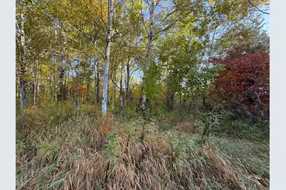 Xxx 540th Lane, Palisade, MN 56469 - Photo 20