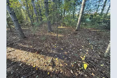 Xxx 540th Lane, Palisade, MN 56469 - Photo 10