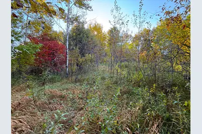 Xxx 540th Lane, Palisade, MN 56469 - Photo 6