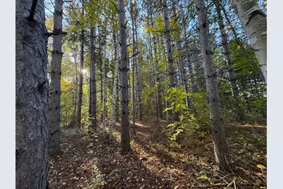Xxx 540th Lane, Palisade, MN 56469 - Photo 36