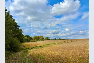 Tbd Dump Hill, Rushford, MN 55971 - Photo 48