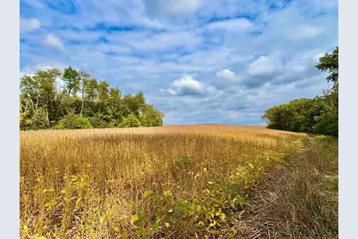 Tbd Dump Hill, Rushford, MN 55971 - Photo 24