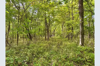 Tbd Dump Hill, Rushford, MN 55971 - Photo 30