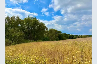 Tbd Dump Hill, Rushford, MN 55971 - Photo 50