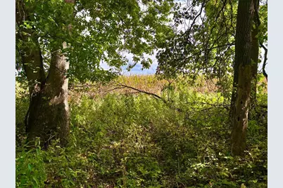 Tbd Dump Hill, Rushford, MN 55971 - Photo 32