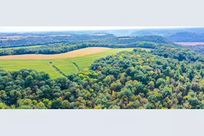 Tbd Dump Hill, Rushford, MN 55971 - Photo 14