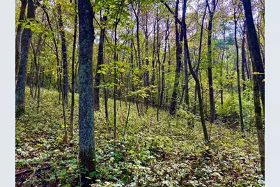 Tbd Dump Hill, Rushford, MN 55971 - Photo 42