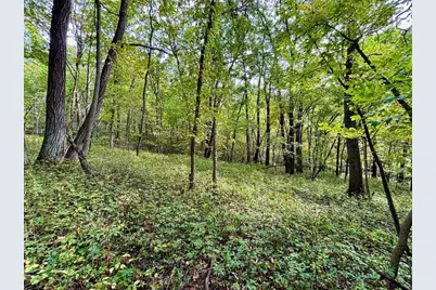 Tbd Dump Hill, Rushford, MN 55971 - Photo 38