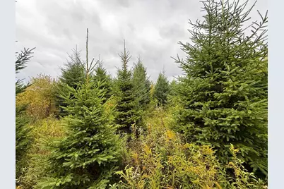 Tbd 360th Street, Onamia, MN 56359 - Photo 8