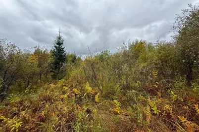 Tbd 360th Street, Onamia, MN 56359 - Photo 6