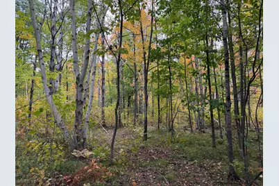 51315 Sand Creek Rd, Bruno, MN 55712 - Photo 8