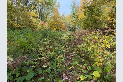 4558 Angelas Drive, Pine River, MN 56474 - Photo 68