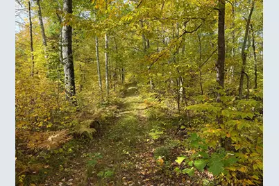 4558 Angelas Drive, Pine River, MN 56474 - Photo 6