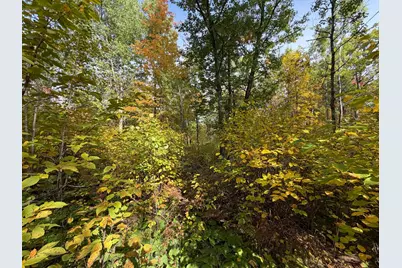 4558 Angelas Drive, Pine River, MN 56474 - Photo 46