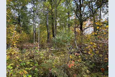 4558 Angelas Drive, Pine River, MN 56474 - Photo 52