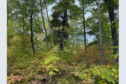 4558 Angelas Drive, Pine River, MN 56474 - Photo 56