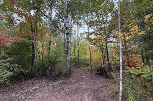 51449 Sand Creek Rd, Bruno, MN 55712 - Photo 1