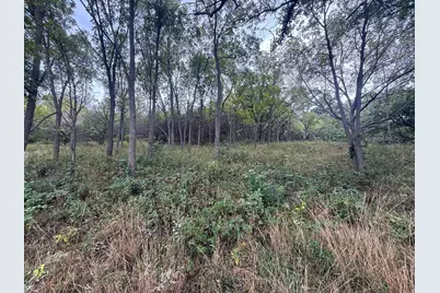 9516 County 4, Houston, MN 55943 - Photo 66
