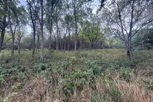 9516 County 4, Houston, MN 55943 - Photo 66
