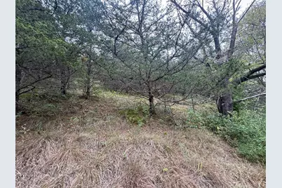 9516 County 4, Houston, MN 55943 - Photo 80