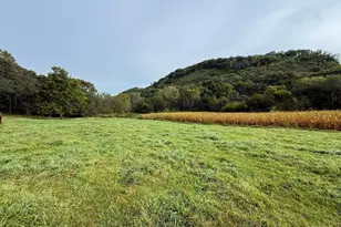 9516 County 4, Houston, MN 55943 - Photo 56