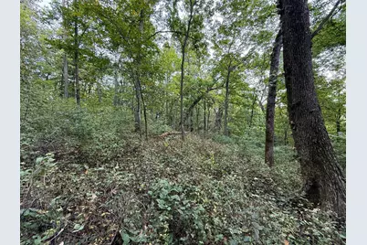 9516 County 4, Houston, MN 55943 - Photo 60