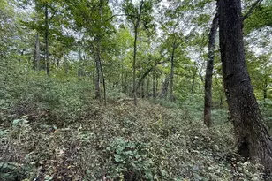 9516 County 4, Houston, MN 55943 - Photo 60
